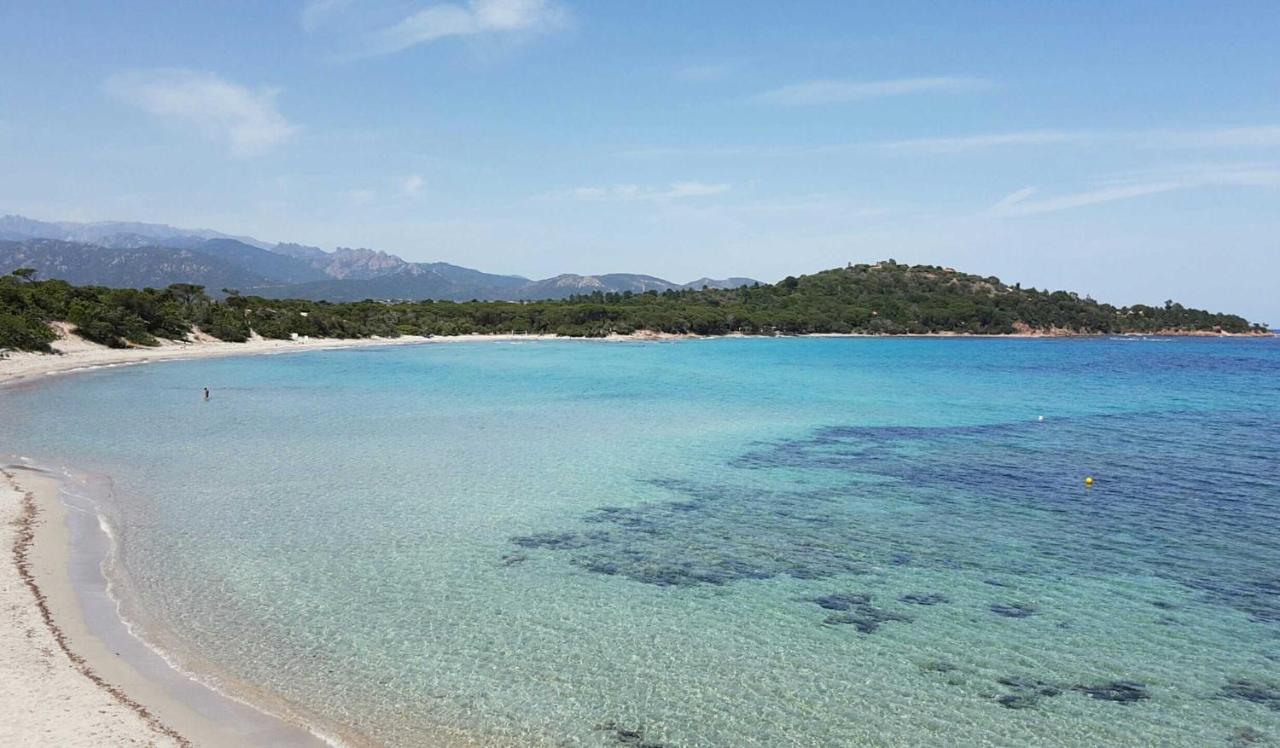 California Pinarellu (Corsica)